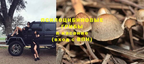 хмурый Кодинск